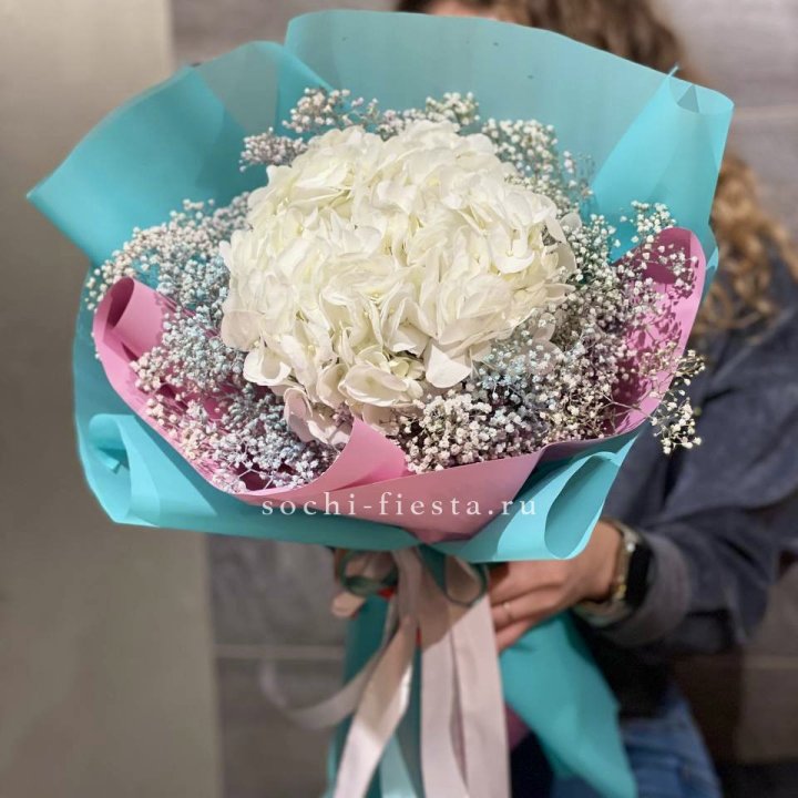 Гортензия "Райдов" в Новороссийске