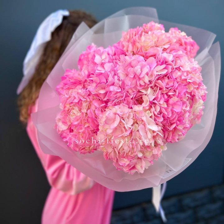 7 ярко розовых гортензий в Новороссийске