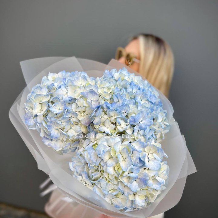 Букет из 3 голубых гортензий  в Новороссийске