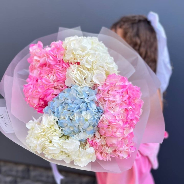 7 гортензий микс в Новороссийске