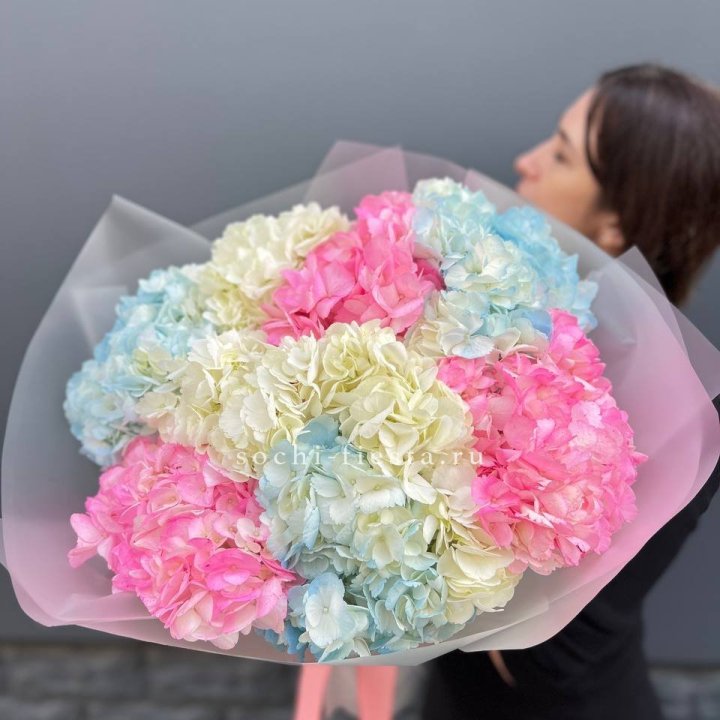 9 гортензий микс в Новороссийске