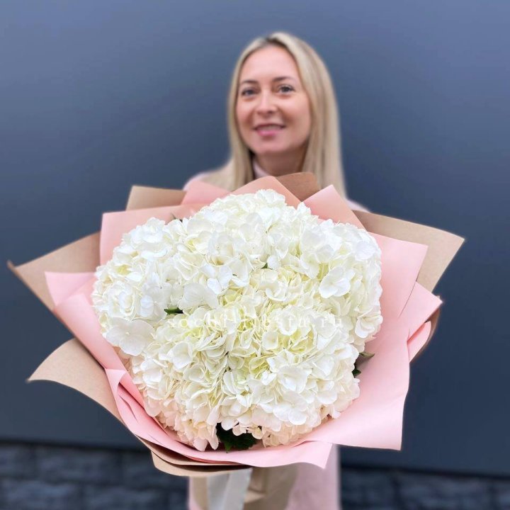 Гортензия белая в Новороссийске