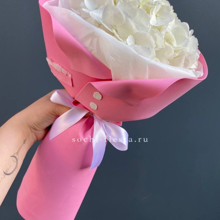 Гортензия в розовом пиджаке в Новороссийске