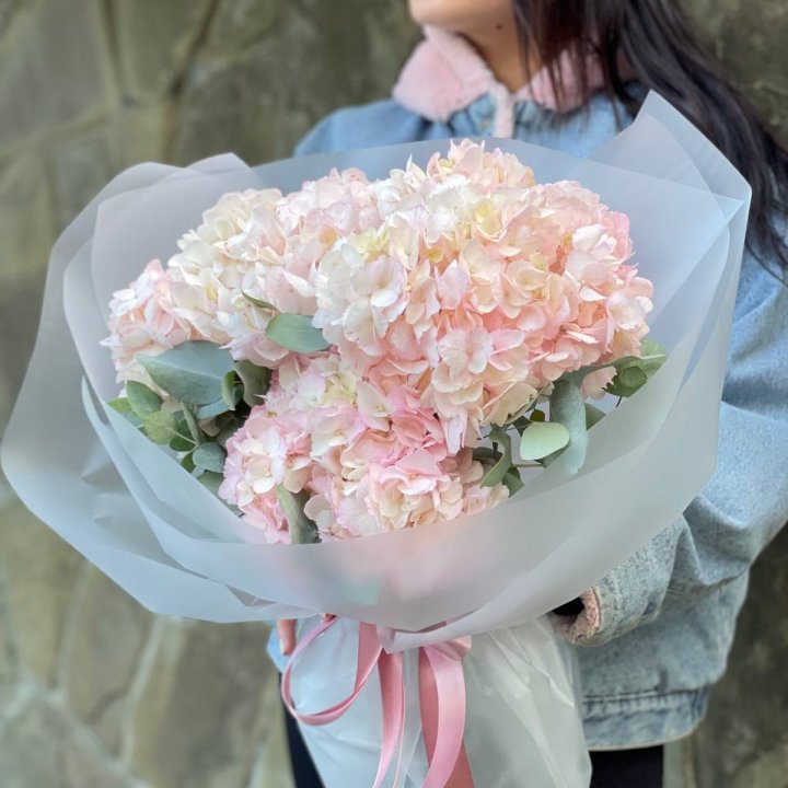 5 розовых гортензий в Новороссийске