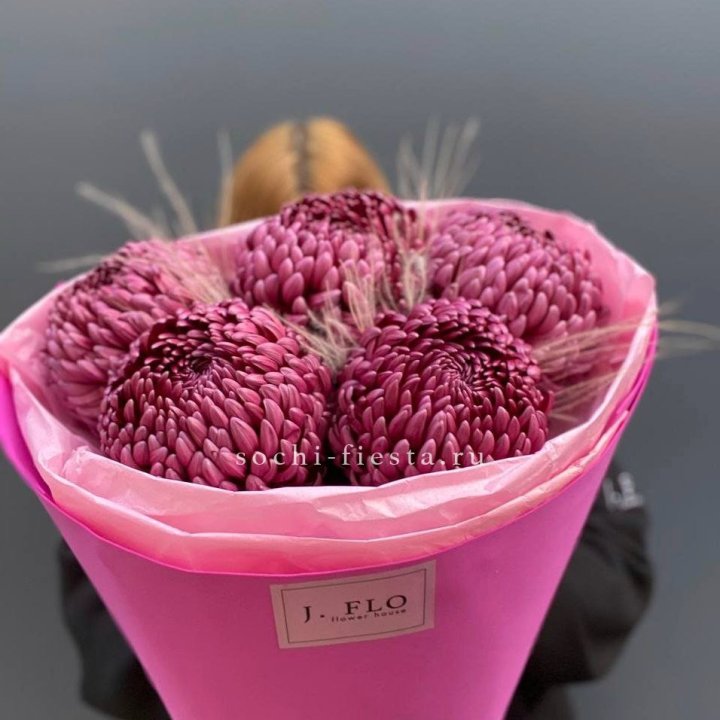 Хризантемы  Бигуди с стифой в Новороссийске