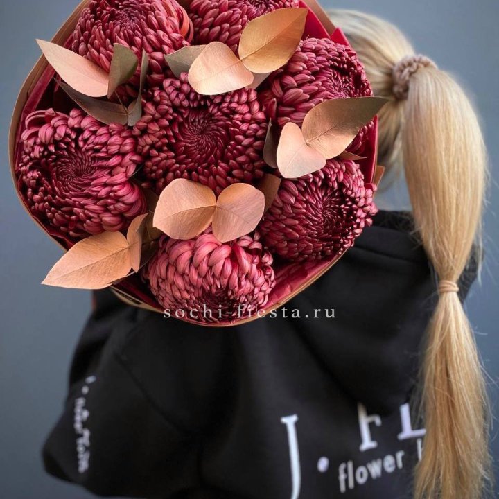 Хризантемы "Голд шоколад" в Новороссийске