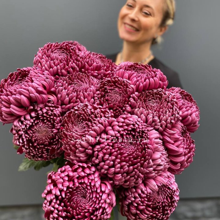 Охапка хризантем Бигуди в Новороссийске