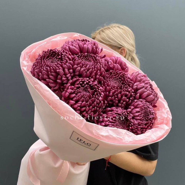 9 хризантем бигуди в Новороссийске