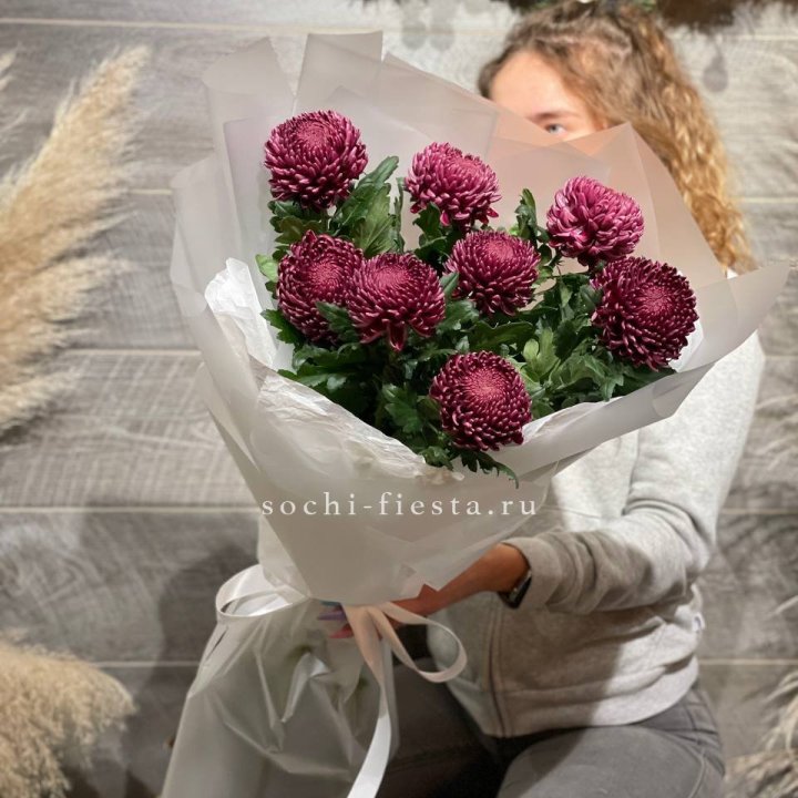 Хризантемы Бигуди в Новороссийске