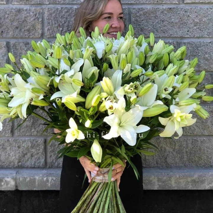 51 лилия в Новороссийске