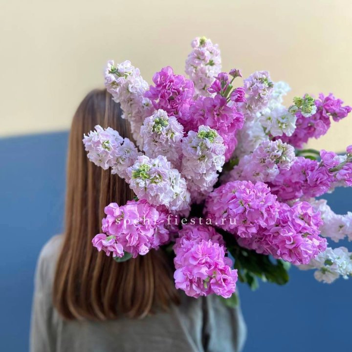 Охапка маттиолы в Новороссийске