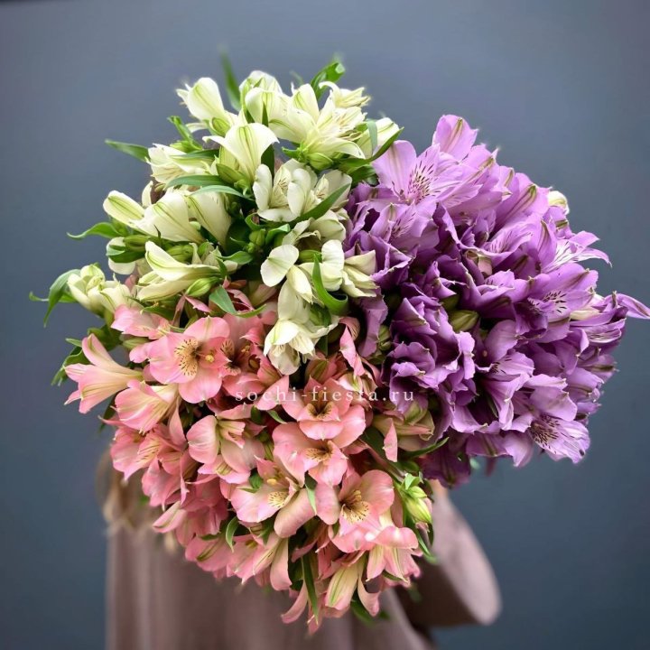 Охапка Альстромерии в Новороссийске