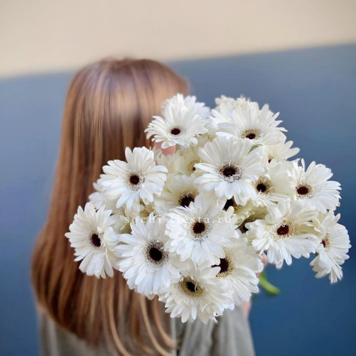 Охапка гербер в Новороссийске