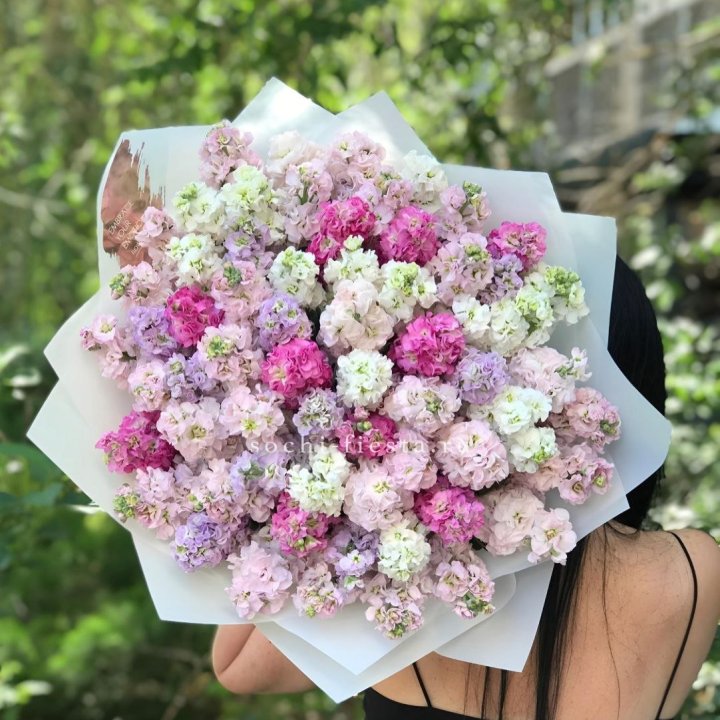 Букет ароматной маттиоллы №3 в Новороссийске