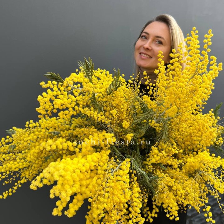 Охапка мимозы №2 в Новороссийске