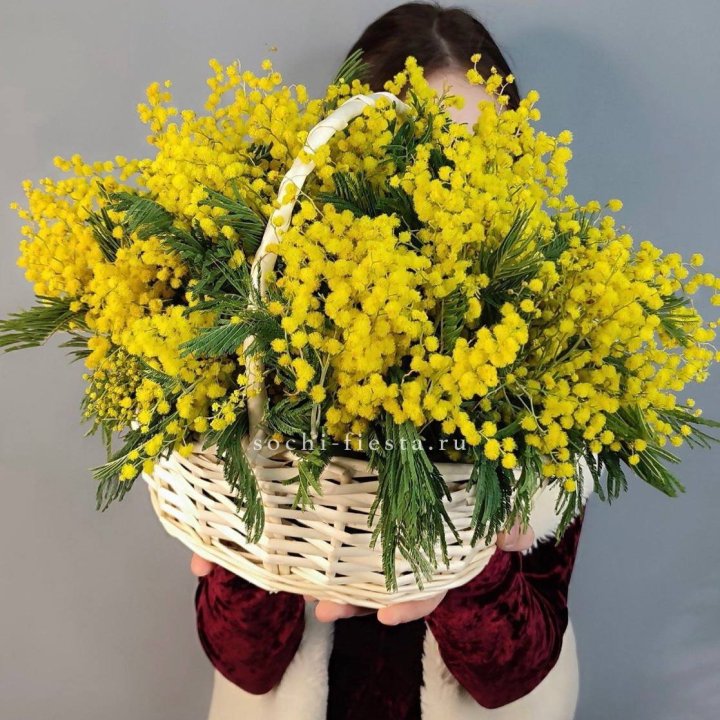 Корзина ароматной мимозы в Новороссийске