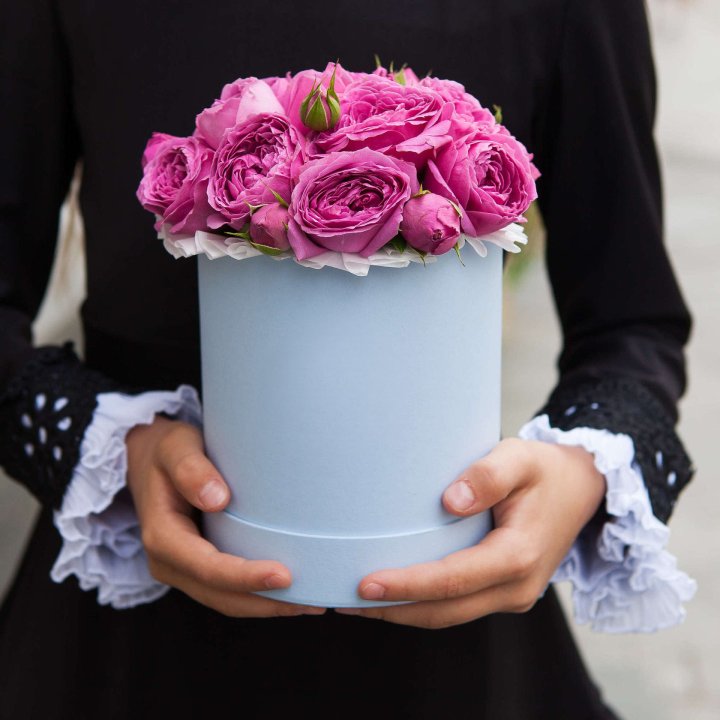 Бокс мини мисти в Новороссийске