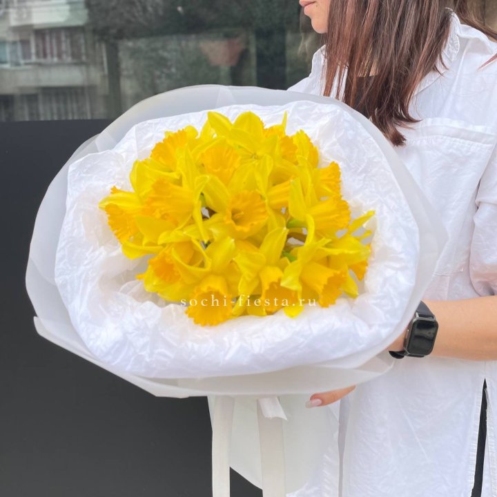 Нарциссы 25 шт в Новороссийске