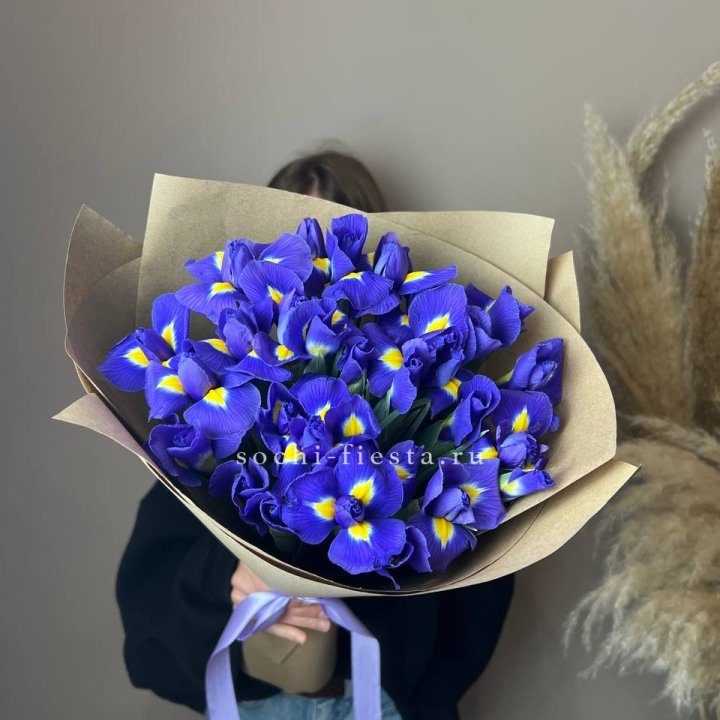 Ирисы в Новороссийске