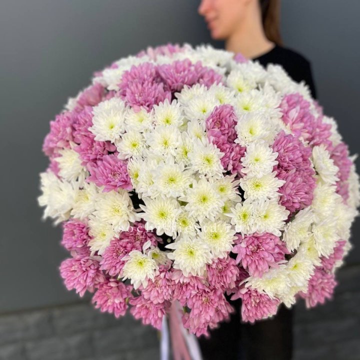  Букет 25 хризантем микс в Новороссийске