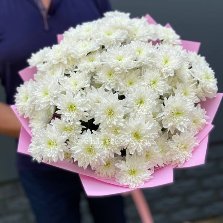  Букет 15 хризантем  в Новороссийске