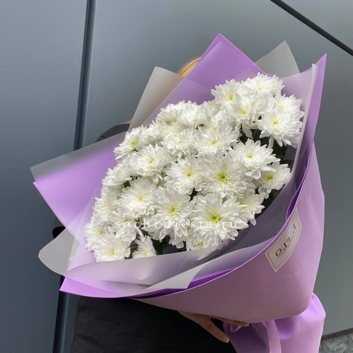  7 хризантем  в Новороссийске