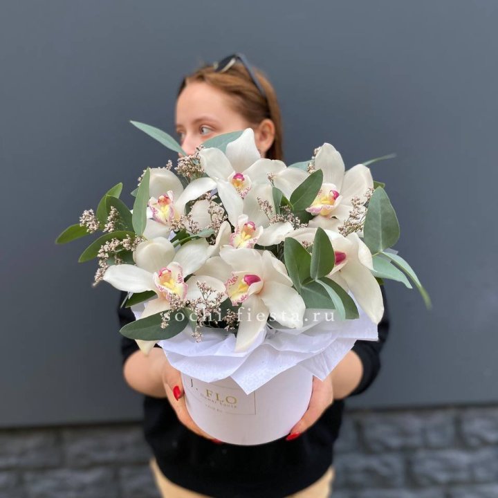 7 орхидей в боксе в Новороссийске