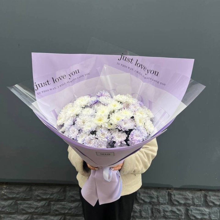 9 воздушных хризантем в Новороссийске