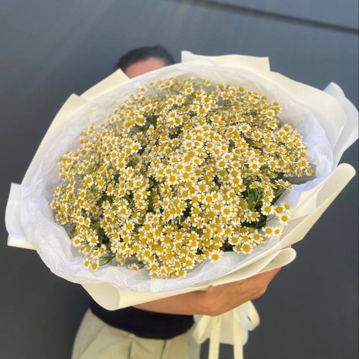 Букет ромашек №2 в Новороссийске