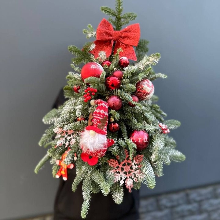 Новогодняя елочка "Ред" в Новороссийске