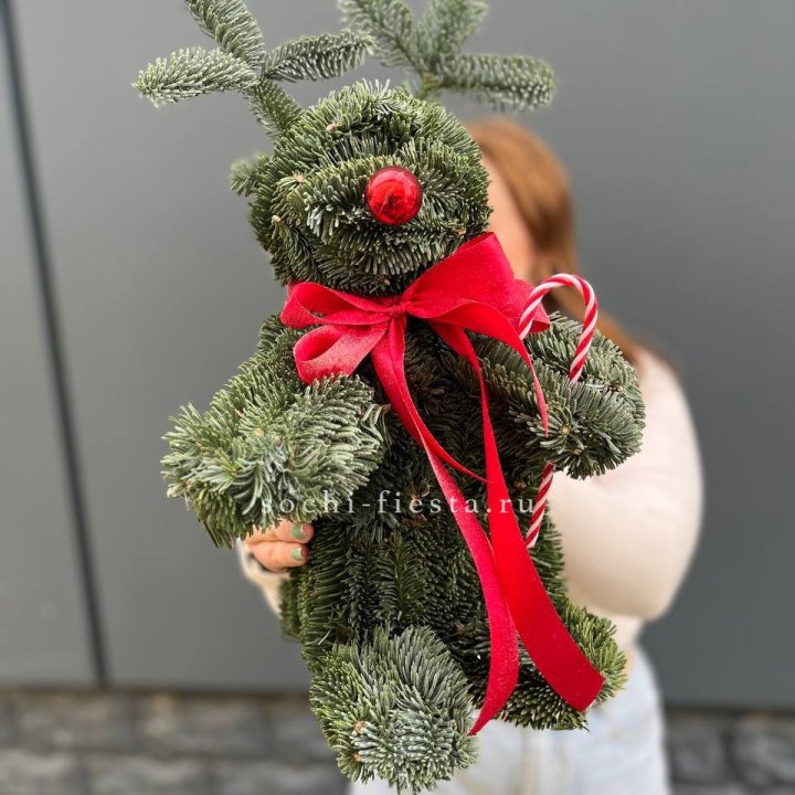 "Олень" из нобилиса в Новороссийске