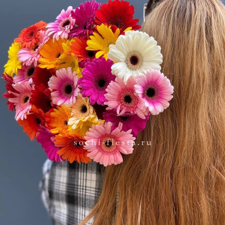 Охапка гербер  в Новороссийске