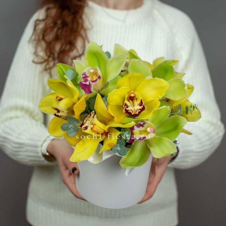 Бокс с орхидей №1 в Новороссийске