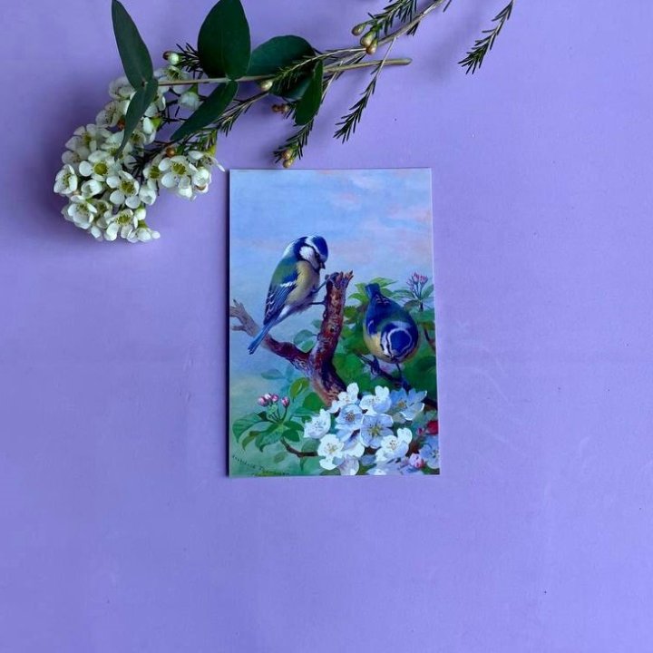 Открытка к букету "Птицы" в Новороссийске