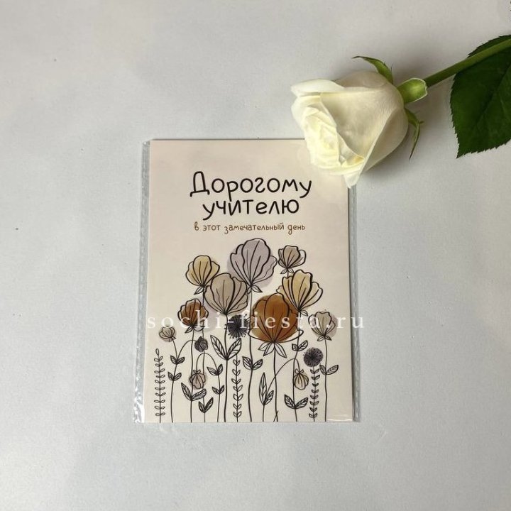 Открытка к букету "Дорогому учителю" в Новороссийске