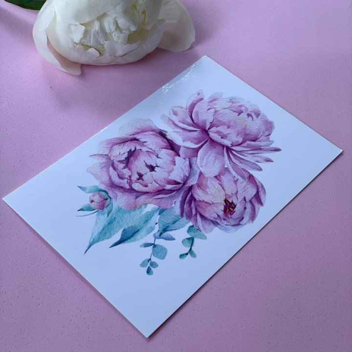 Открытка к букету "Пионы" в Новороссийске