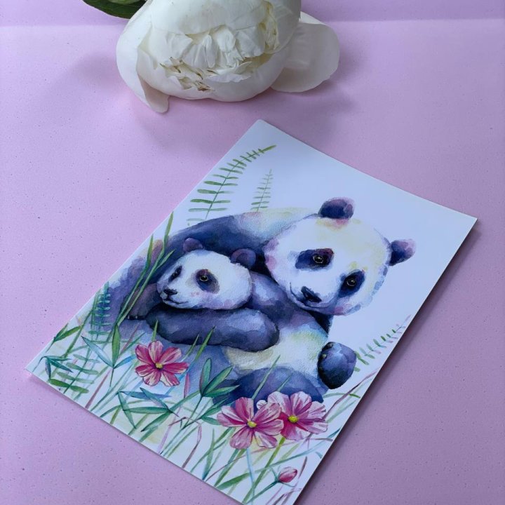 Открытка к букету "Объятие Панды" в Новороссийске