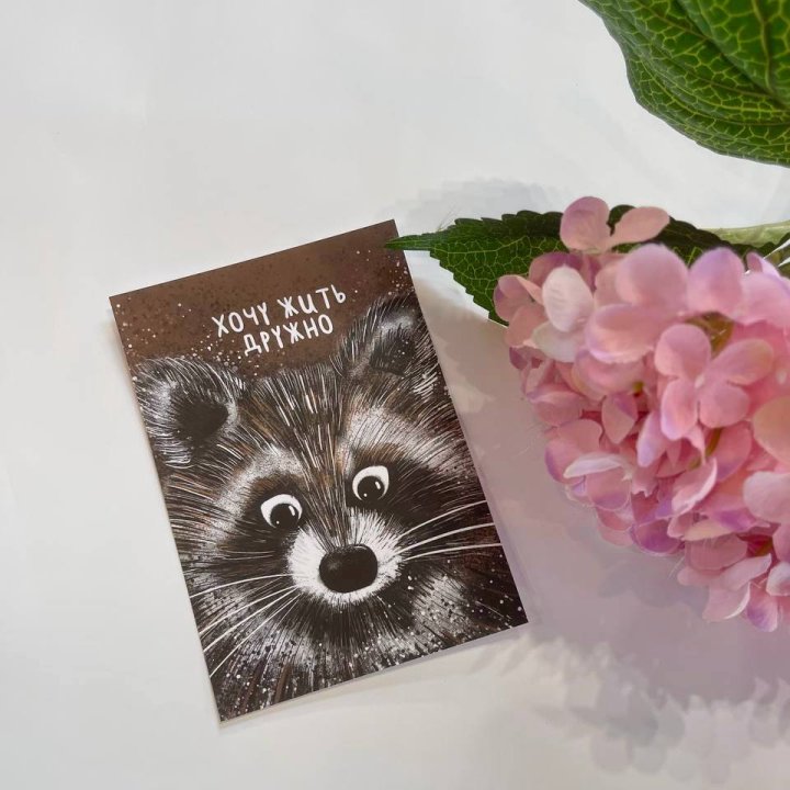 Открытка к букету "Енотик" в Новороссийске