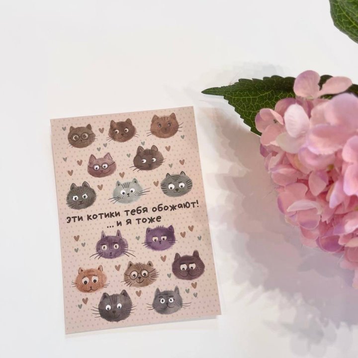 Открытка к букету "Котики" в Новороссийске