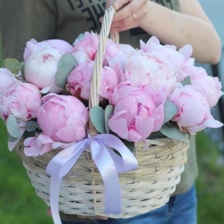 15 пионов в корзине в Новороссийске