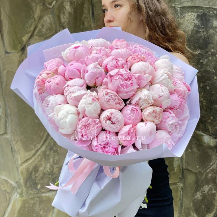39 нежных пионов в Новороссийске