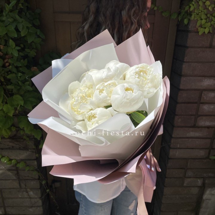 9 белоснежных пионов в Новороссийске