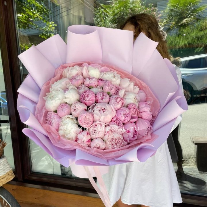 51 розовый пион в Новороссийске