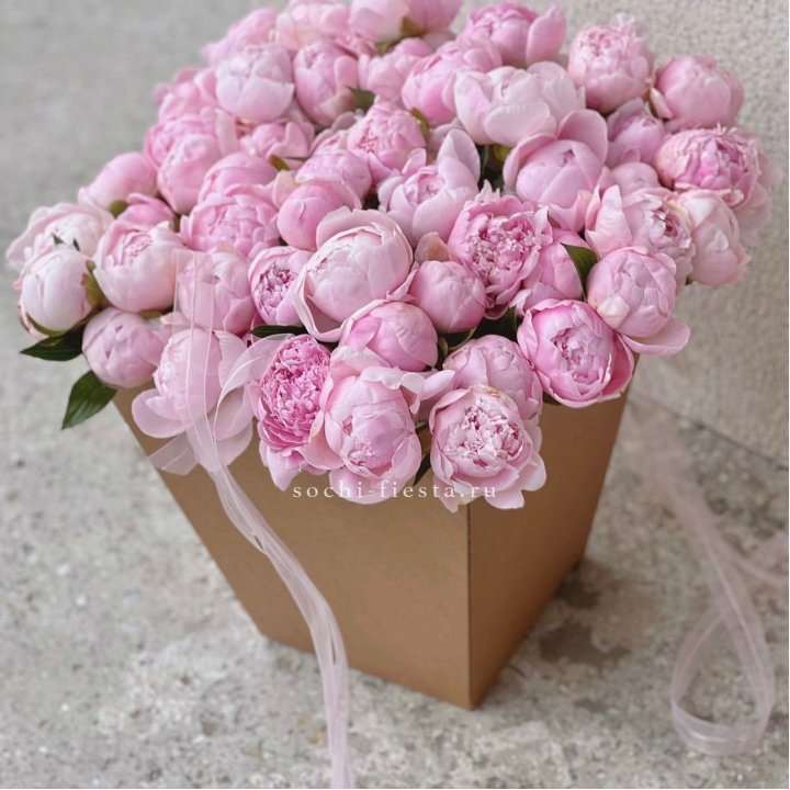 49 пионов в крафт коробке в Новороссийске