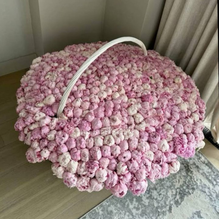 Корзина 555 пионов в Новороссийске