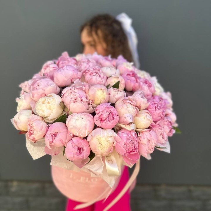 51 нежных пионов  в цилиндре в Новороссийске