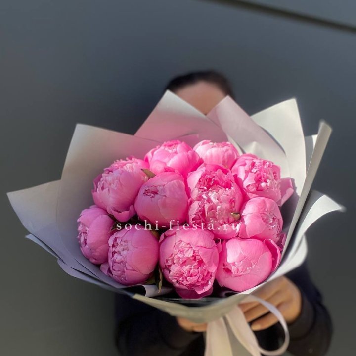 Пионы Алекс флеминг в Новороссийске