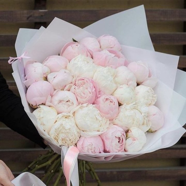 29 пионов в Новороссийске