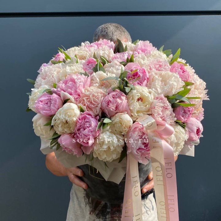 51 пионов в боксе в Новороссийске