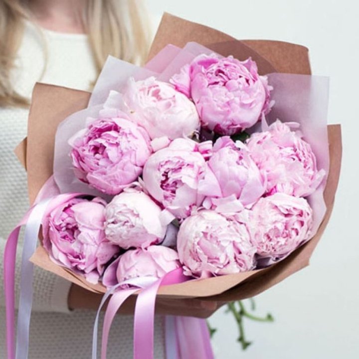 11 нежных пионов в Новороссийске